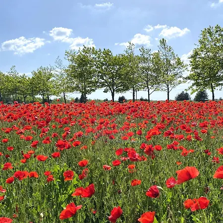 Willa Private First Line With Sea View In Blacksearama Golf A Location Privacy Pool Bałczik