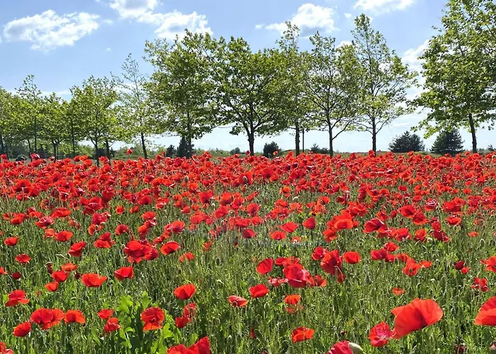 Willa Private First Line With Sea View In Blacksearama Golf A Location Privacy Pool Bałczik