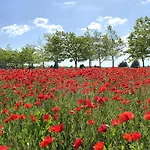 Villa Private First Line With Sea View In Blacksearama Golf A Location Privacy Pool Balchik